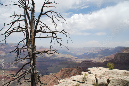 Grand Canyon XXXVII photo