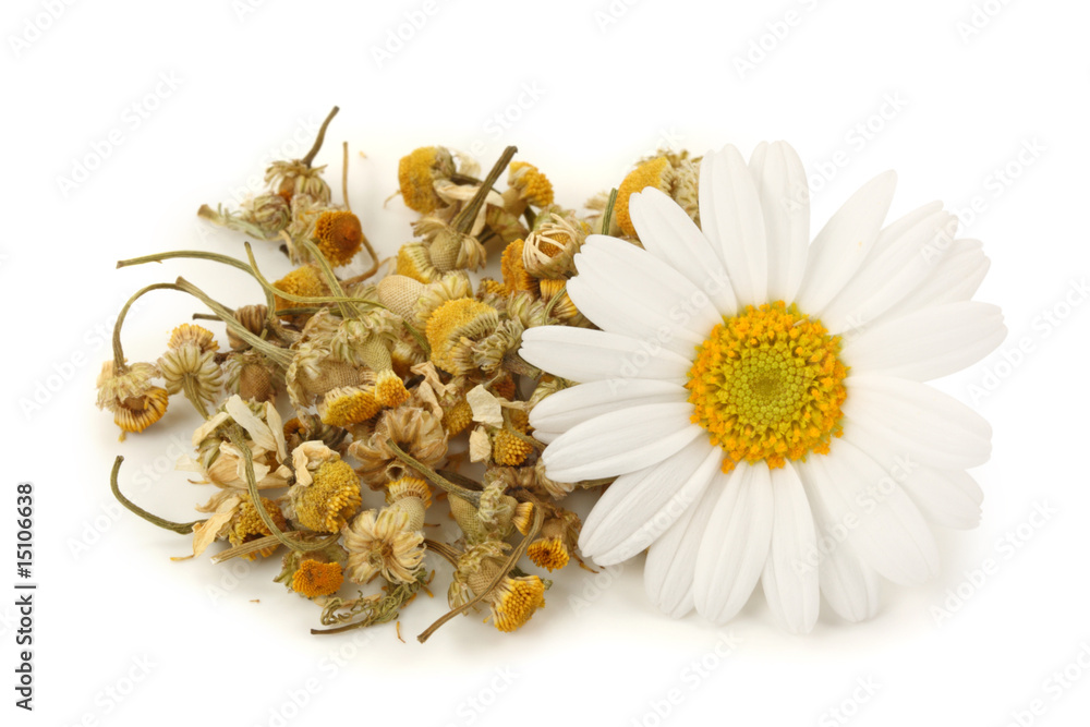 Dried chamomile tea isolated on white background - obrazy, fototapety, plakaty 