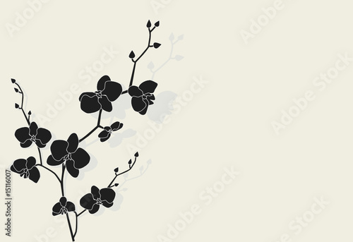 Beautiful orchid with shadow, vector illustration