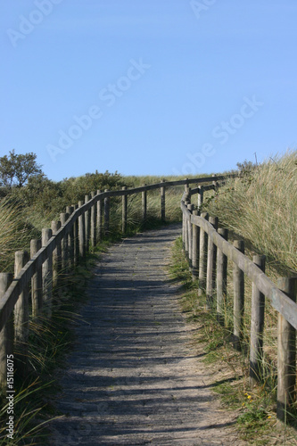 dune path © Thomas van de Kamp