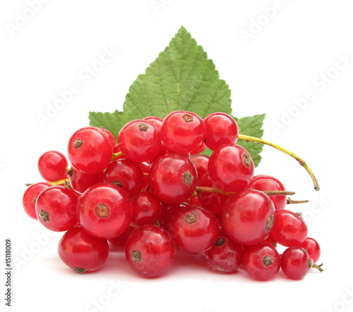 Photo Currant red redcurrant