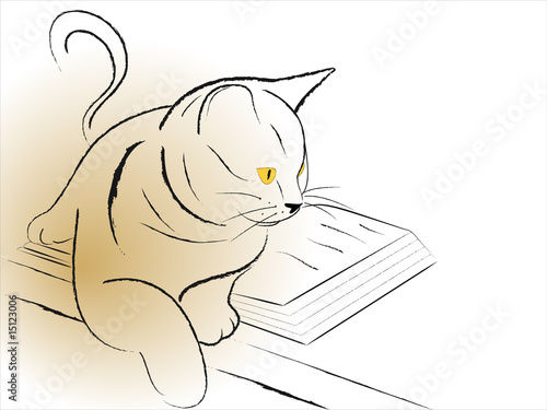 kitten and the book