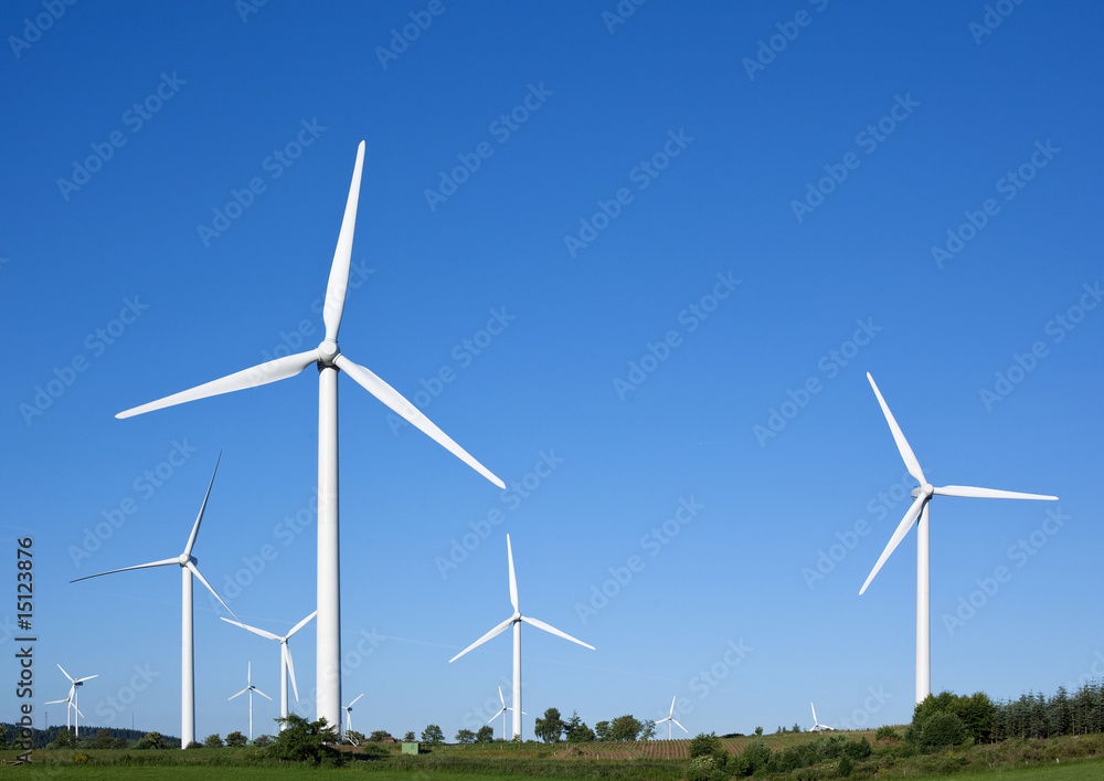 windpark windpark