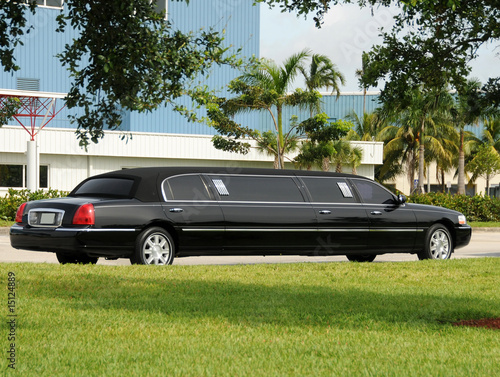 Obraz na płótnie Black limo