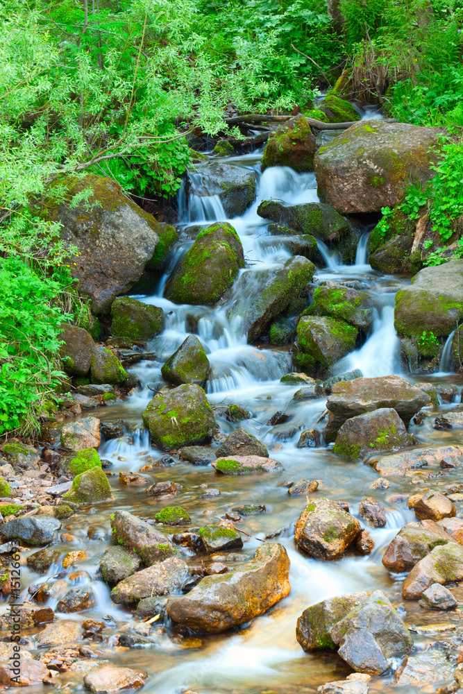 Small wood falls. A summer landscape Small wood falls. A summer landscape