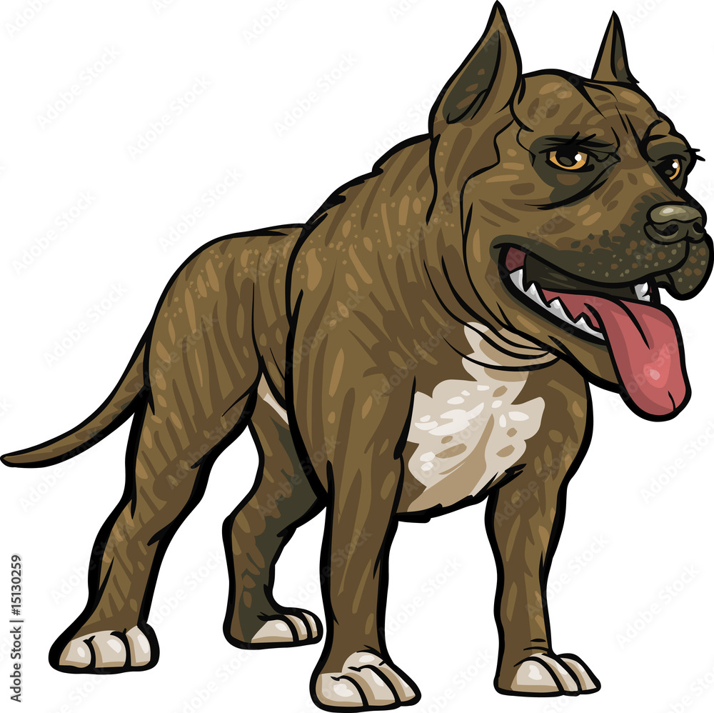 Dog Breeds: Pitbull