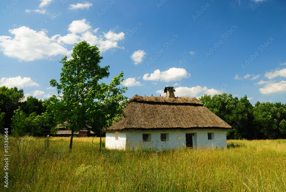 Fototapeta premium Traditional ukrainian village house