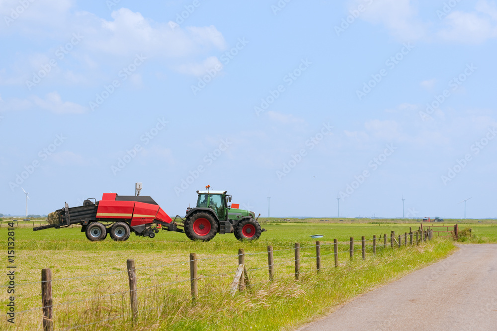 Typical Dutch landscape