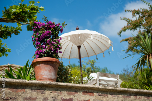 Obraz na plátně bougainvillaea