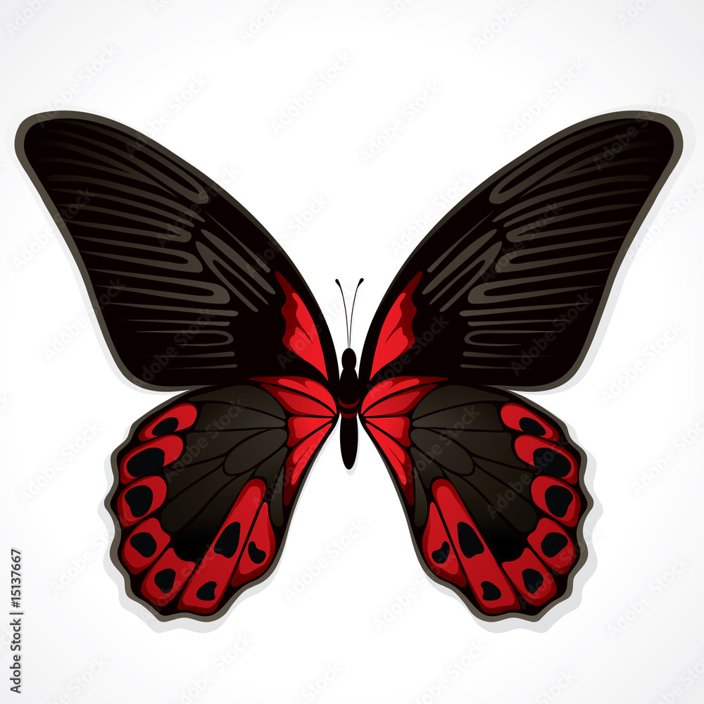 The red butterfly