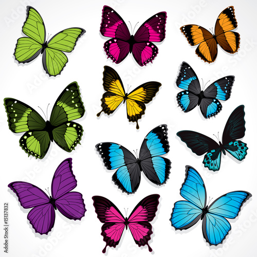 Butterflies #15137832