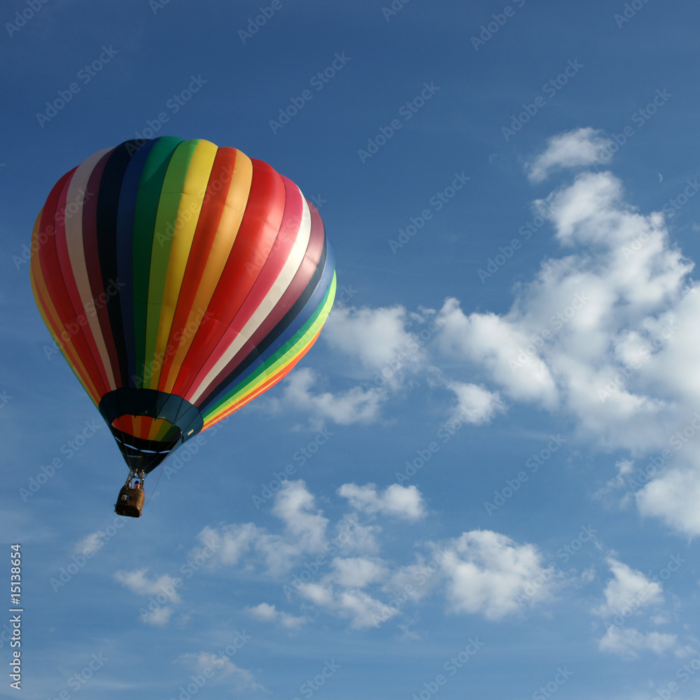 Naklejka premium Vol libre