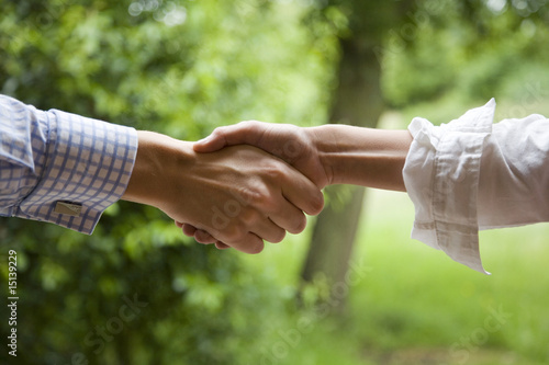 Friendly Handshake