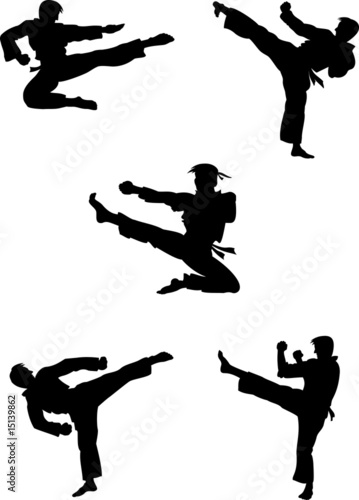 Karate fighters silhouettes