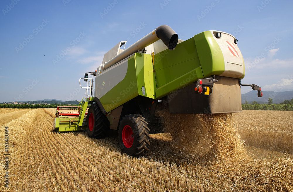 Obraz premium mietitura