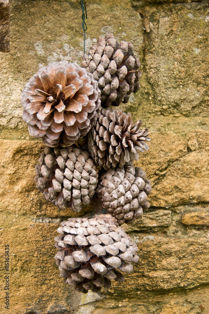 Hung Pine cones Hung Pine cones