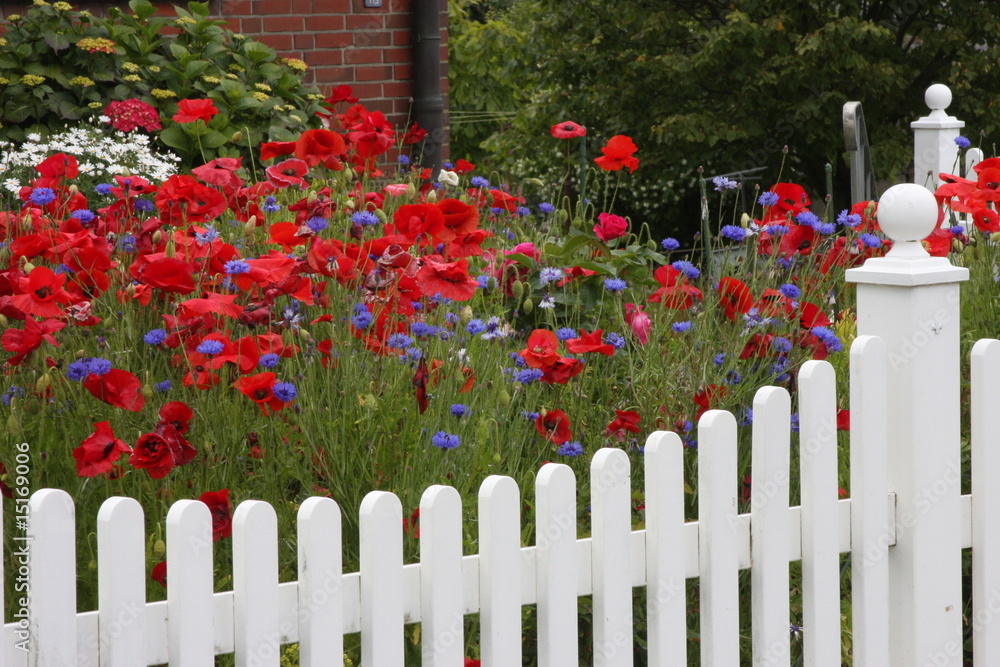 Garten Garten