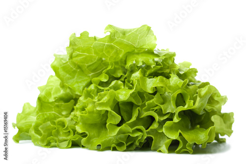 fresh lettuce isolated