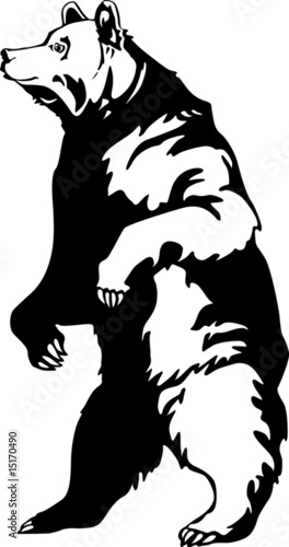 grizzly
