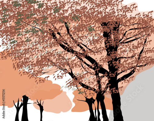 Trees in fall