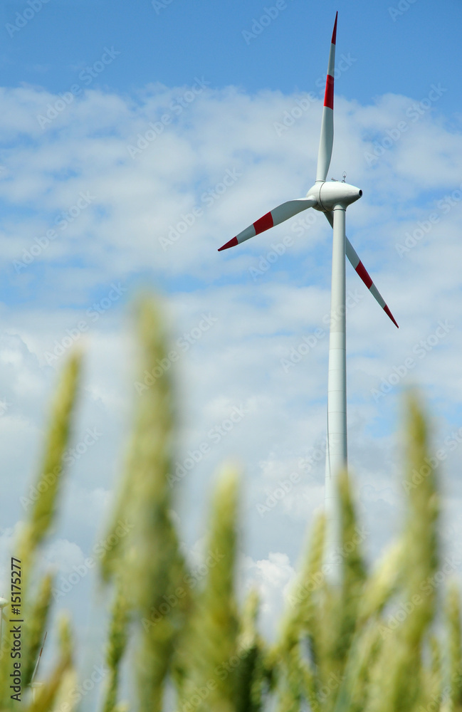 Fototapeta premium Windräder 8