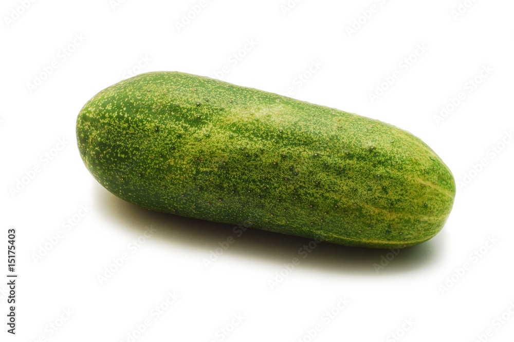 cucumber isolated cucumber isolated