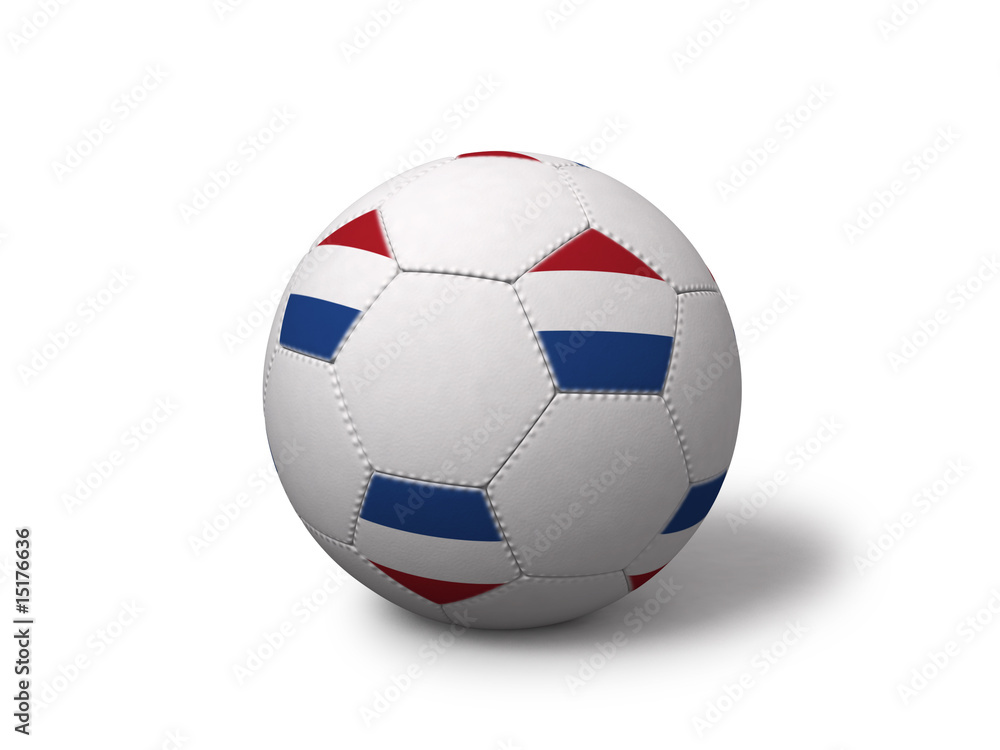 Obraz premium Netherlands soccer ball