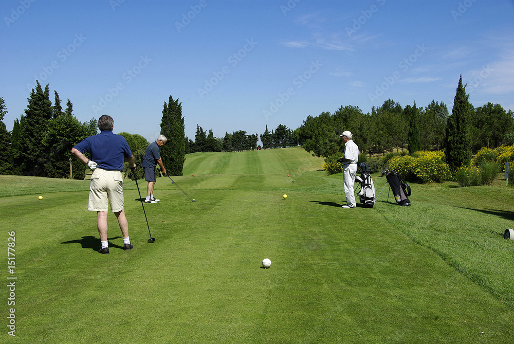 Obraz premium Golfspieler ,Golfplatz Carcassonne/Frankreich