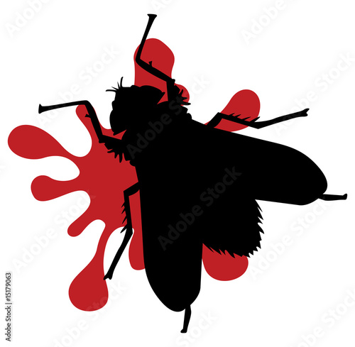 squashed fly
