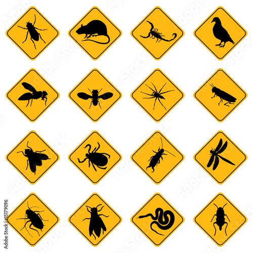 rodent and pest signs
