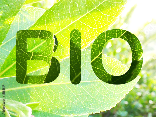 Konstfotografi bio