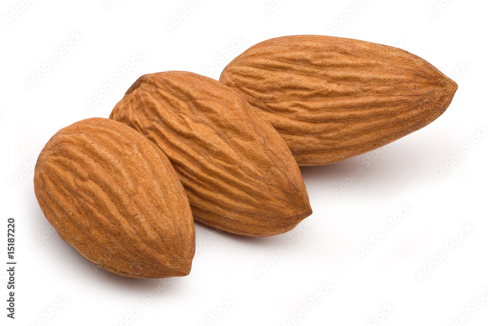 almond 04