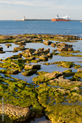 Livorno harbour.