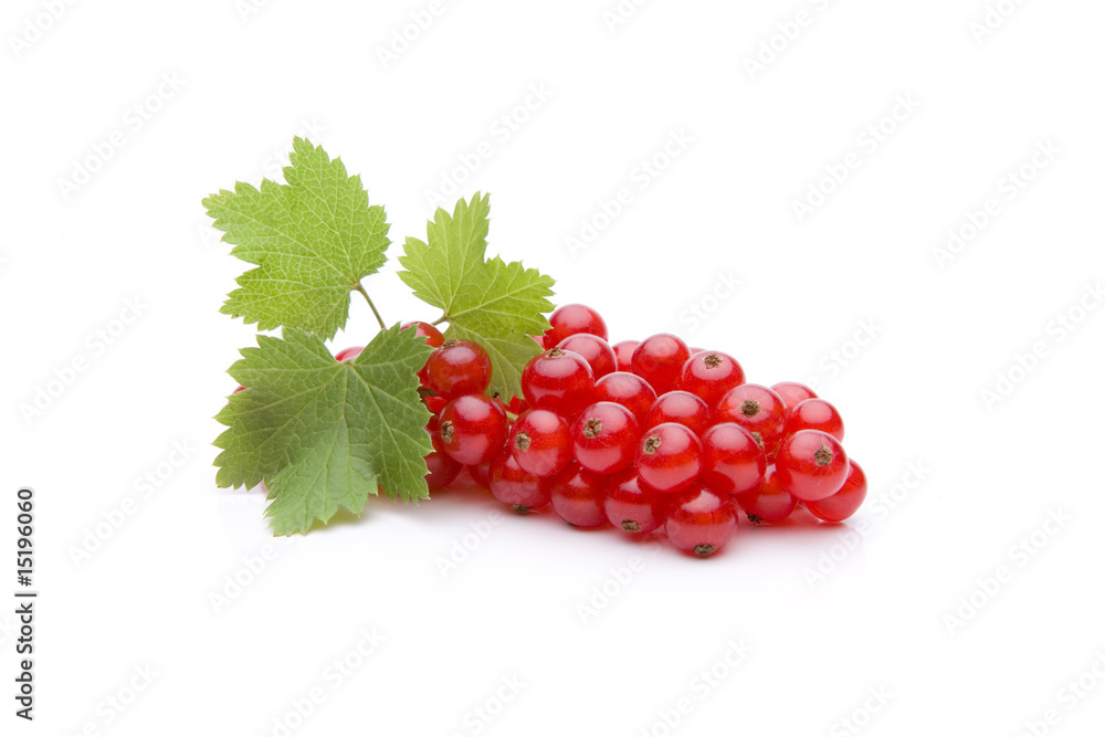 Rote Johannisbeeren Rote Johannisbeeren