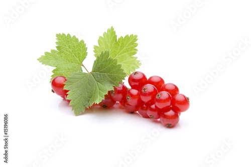 Rote Johannisbeeren