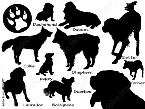 set of dogs