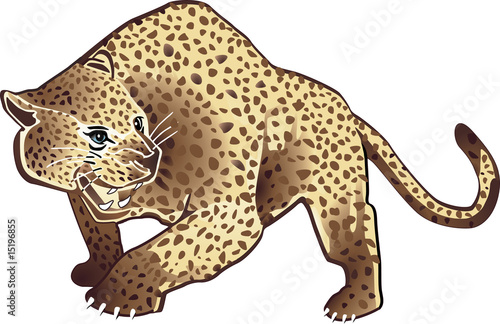 leopard