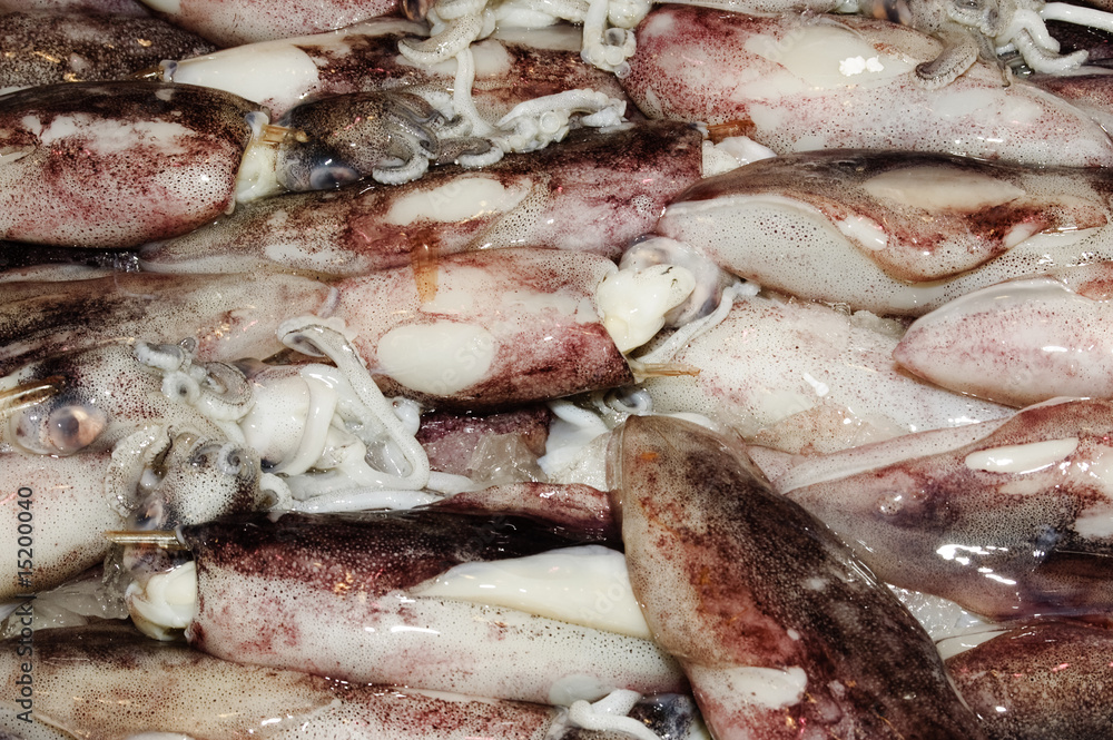 calamares calamares