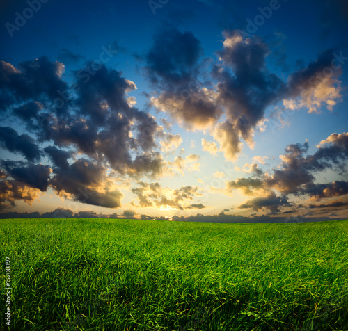 grass and sunset