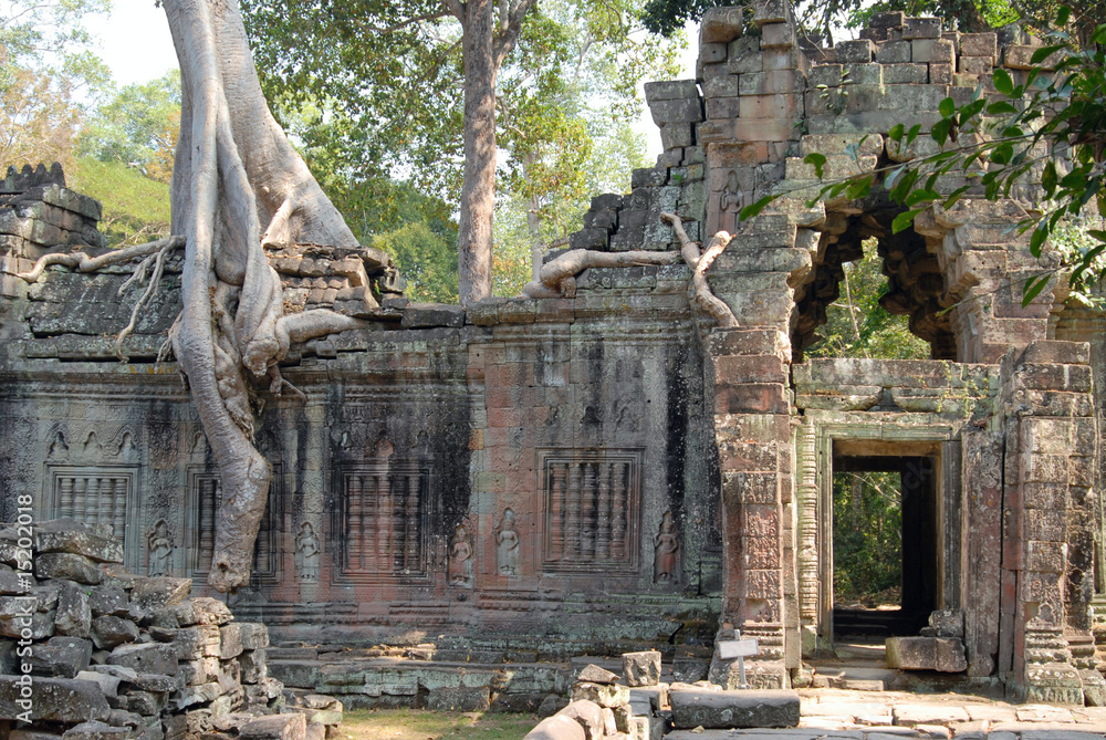 Fototapeta premium Preah Khan. Angkor, Cambodia