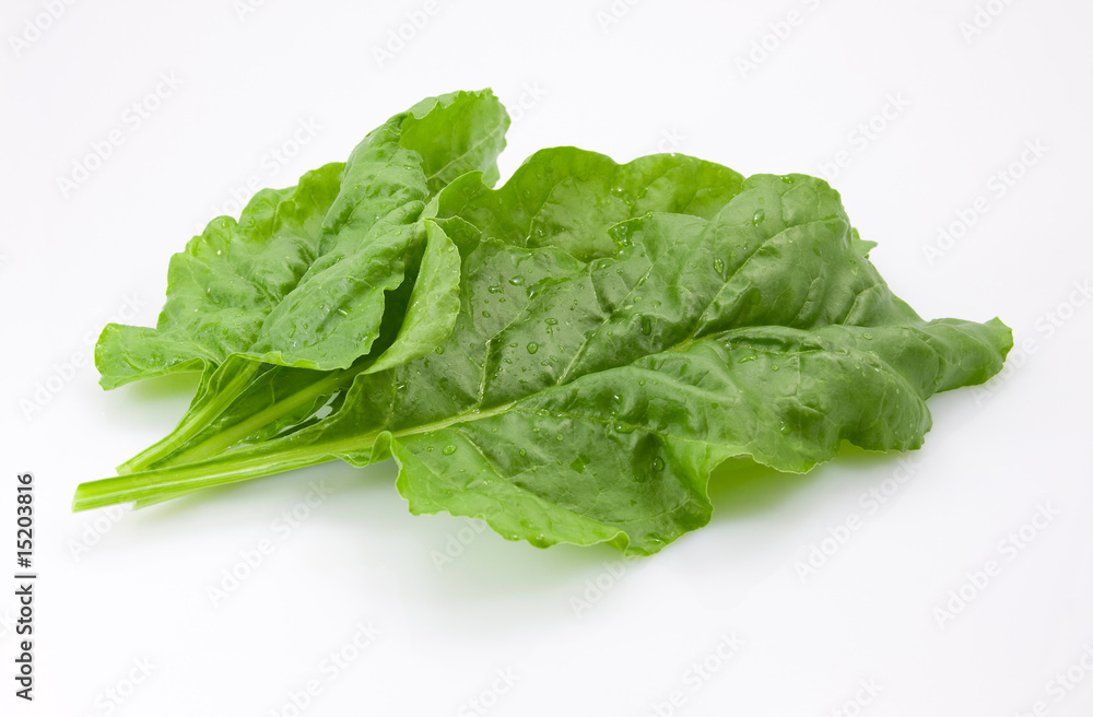 Swiss chard Swiss chard