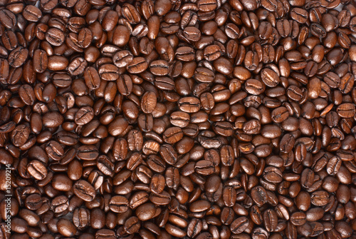 Coffe beans backround photo
