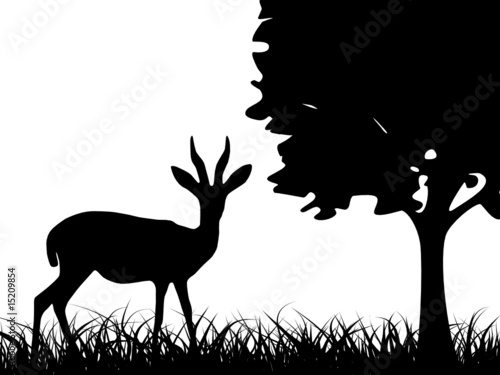 Illustration of antelope in the grass