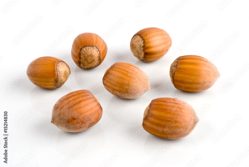 Noisettes,fruits,secs,huile,amande,aveline Noisettes,fruits,secs,huile,amande,aveline