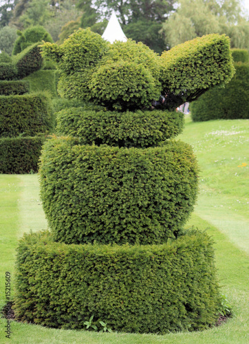 Robin topiary