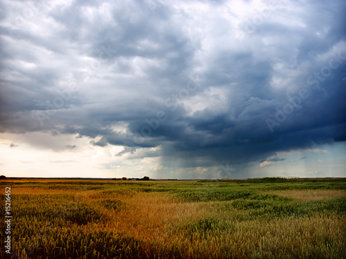 storm in wheat field
