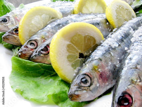 Sardinhas-Sardine-Pilchard-Fish-Sardina-Peixe-Sardinha