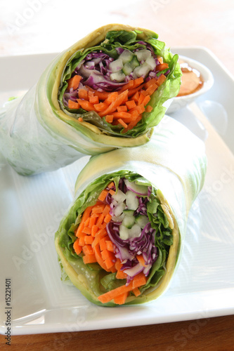 Spring Salad Rolls