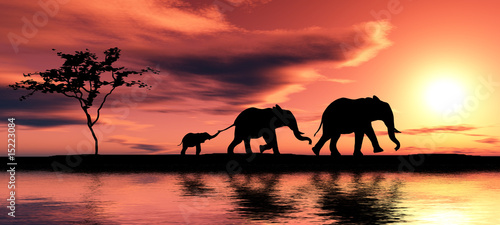 Family of elephants. © Vadim Rybakov