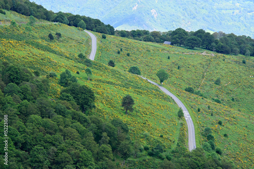фотографія Route du col d'Aspin (hautes pyrénées) au printemps.